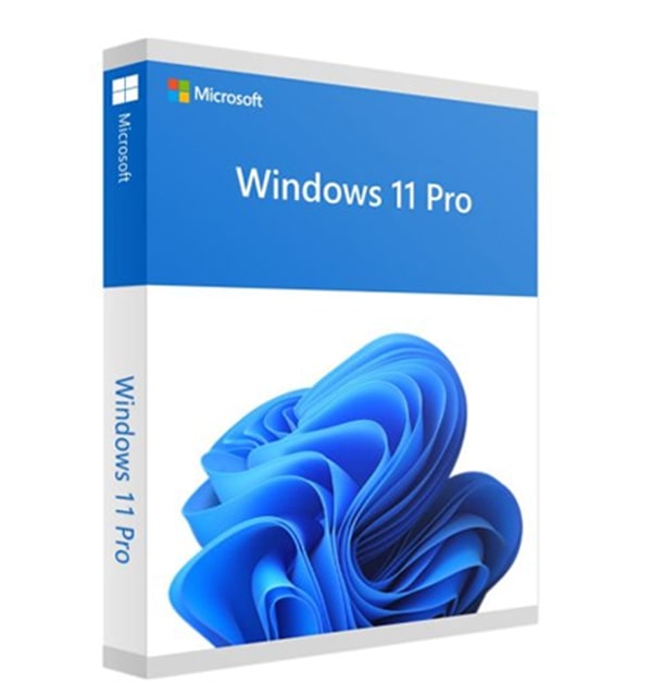Windows 11