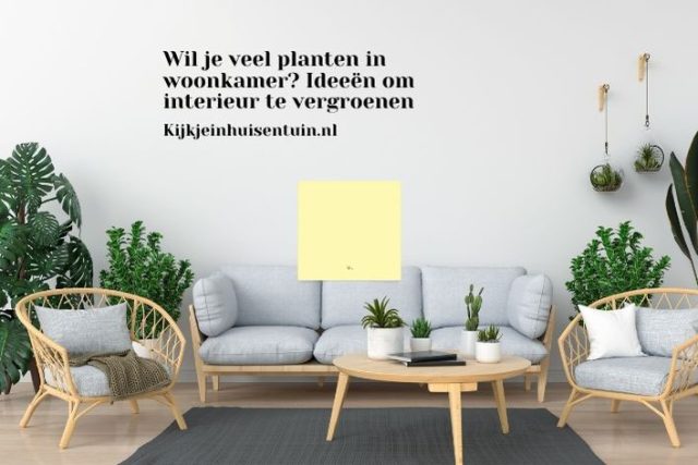 wil-je-veel-planten-in-woonkamer-ideeC3ABn-om-interieur-te-vergroenen.jpg